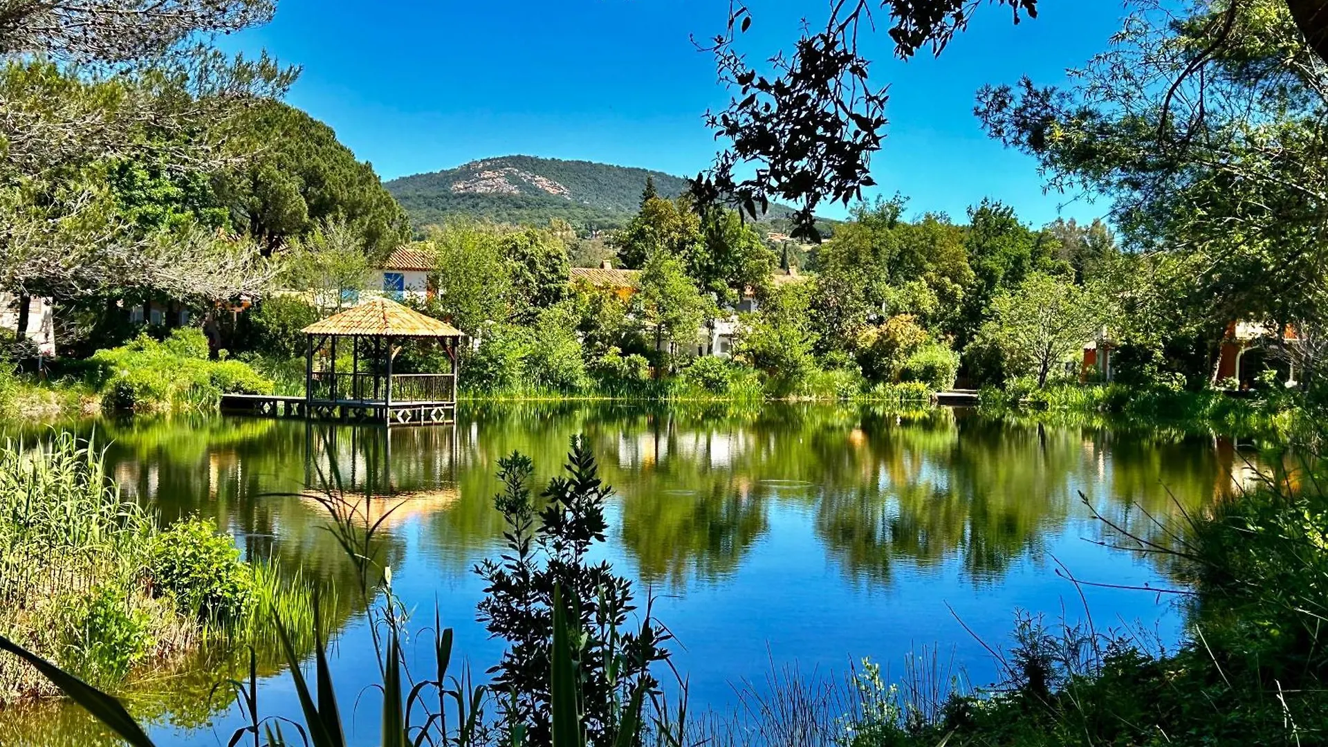 Appartement Les Restanques pressoir 3029 à Grimaud France